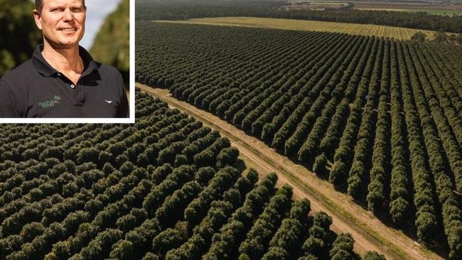 Macadamia nut farmer Henrik Christiansen, who waters his 120,000 macadamia trees on 340ha of land in South Yaamba, said the impact of Rockhampton Regional Council's new pricing structure on his bottom line is significant.