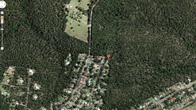 The "Gingerbread House" in the NSW Blue Mountains region was surrounded by bushland. 