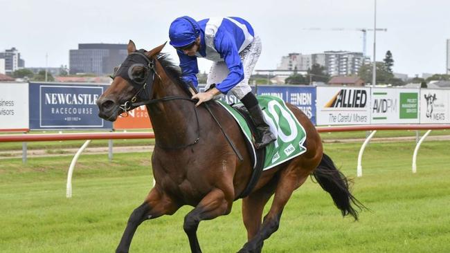 Pink Ivory will head to Melbourne for the Matriarch Stakes should she come through Saturday’s run all good. Picture: Bradley Photos