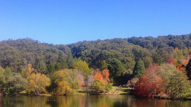 Mount Lofty Botanic Gardens is open again.