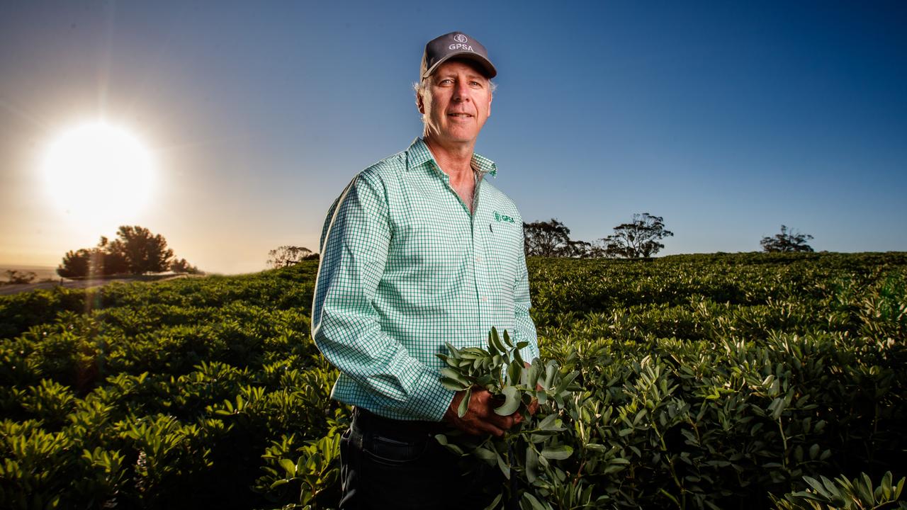 Renowned SA cropping family to sell four NSW farms