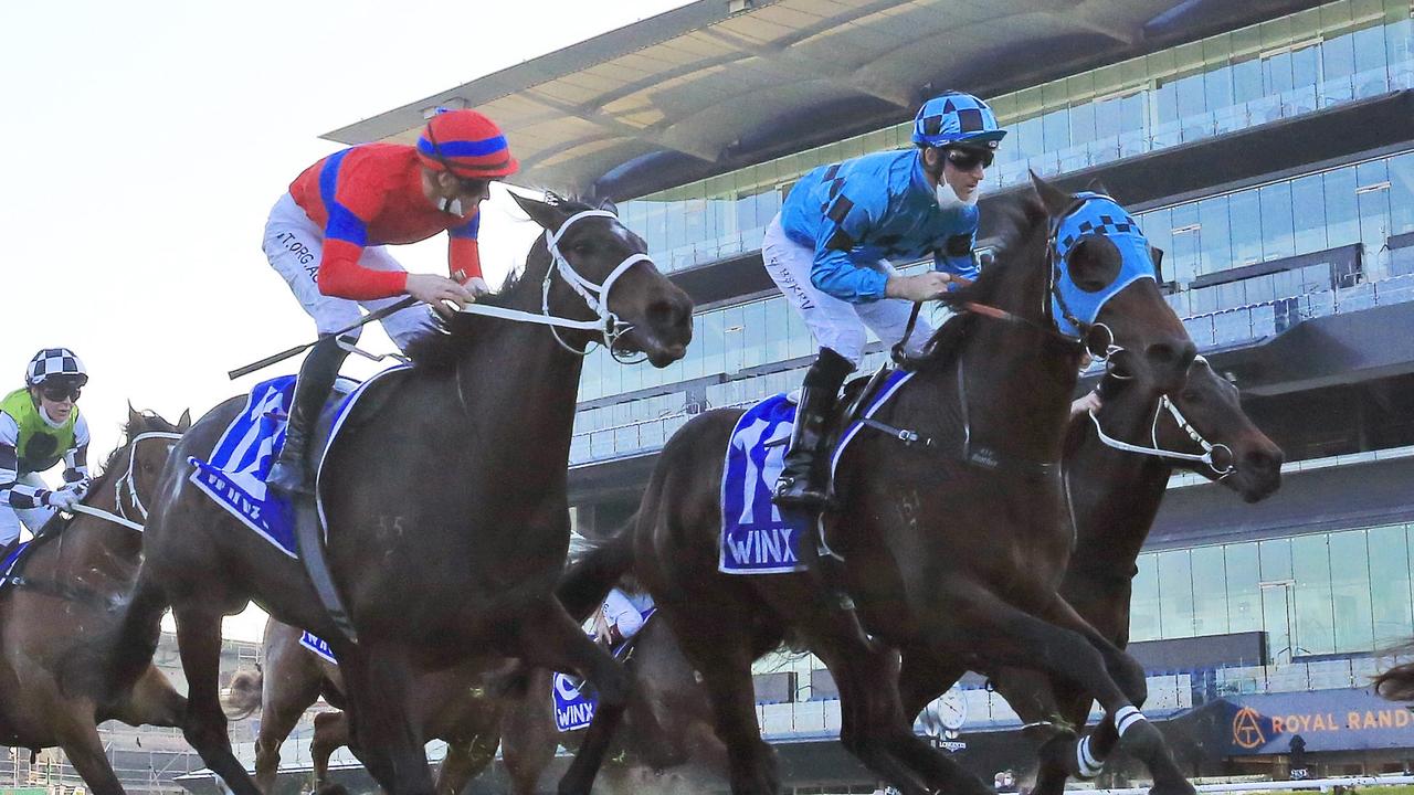 Sydney Racing