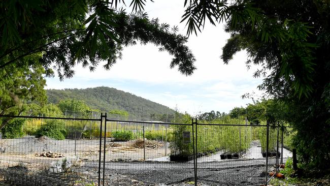 The damage still left over from the Christmas Day ‘tornado’ at Bamboo Down Under . Friday May 31, 2024. Picture, John Gass