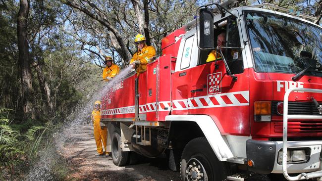 The Otways are extremely dry and pose a fire risk. Picture: Peter Ristevski