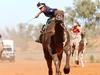 The 40-plus Aussie bush events you can’t miss in 2022