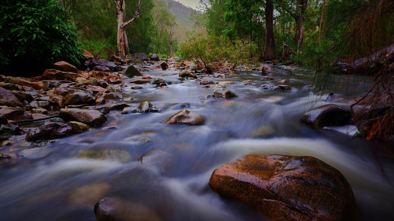 CREEK ISSUE: Budding young photographer winner Fletcher Dean's took this photo of Moores Creek, a water system in need of rehabilitation according to KAP’s candidate for Rockhampton Christian Shepherd.