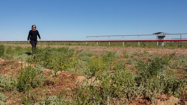 Birdsville Race Club secretary Jenna Brook walks on the greenery of the Birdsville racetrack. Picture: Jess Scott