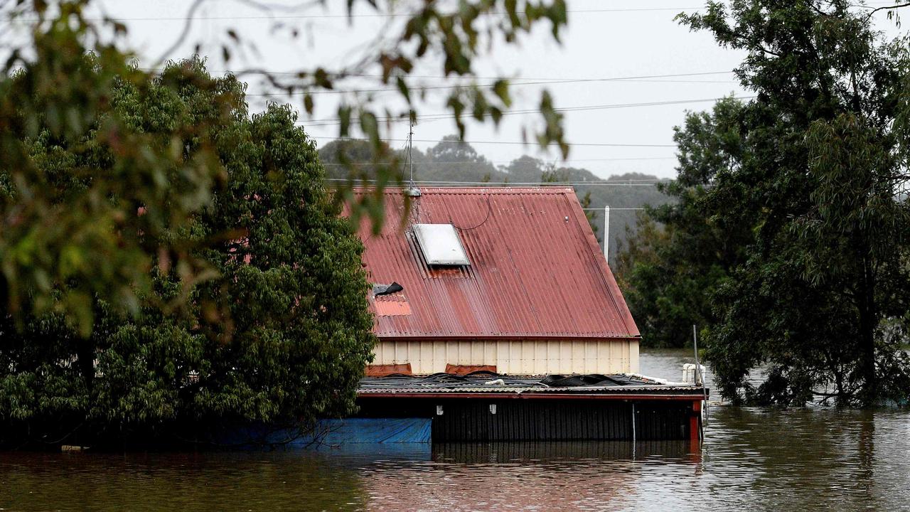 Murray Watt: Government will consider grants to floodproof homes in NSW ...