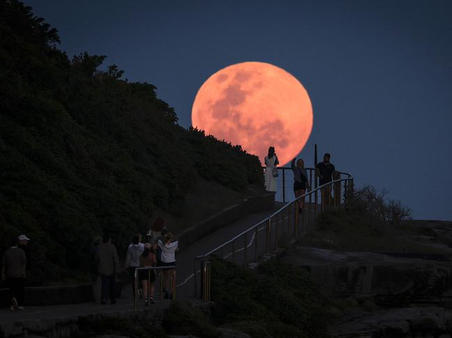 A super moon rises behind people standing on a headland near Sydneyâs Bondi Beach on October 17, 2024. (Photo by DAVID GRAY / AFP)