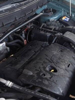 Titi was found in the engine bay of Chantal's Mitsubishi. Picture: Supplied