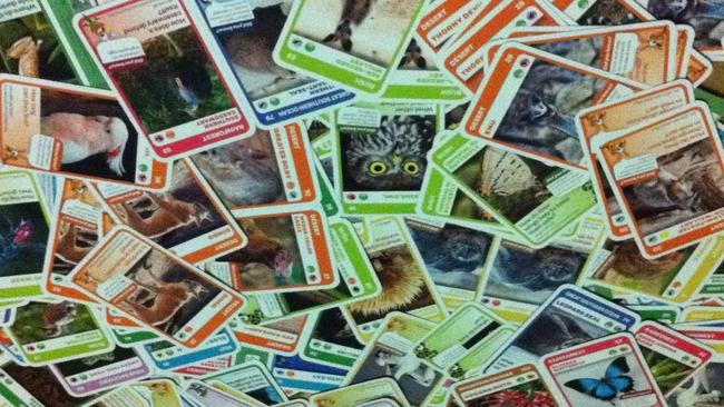 Red Woolworths Baby Animal Cards 