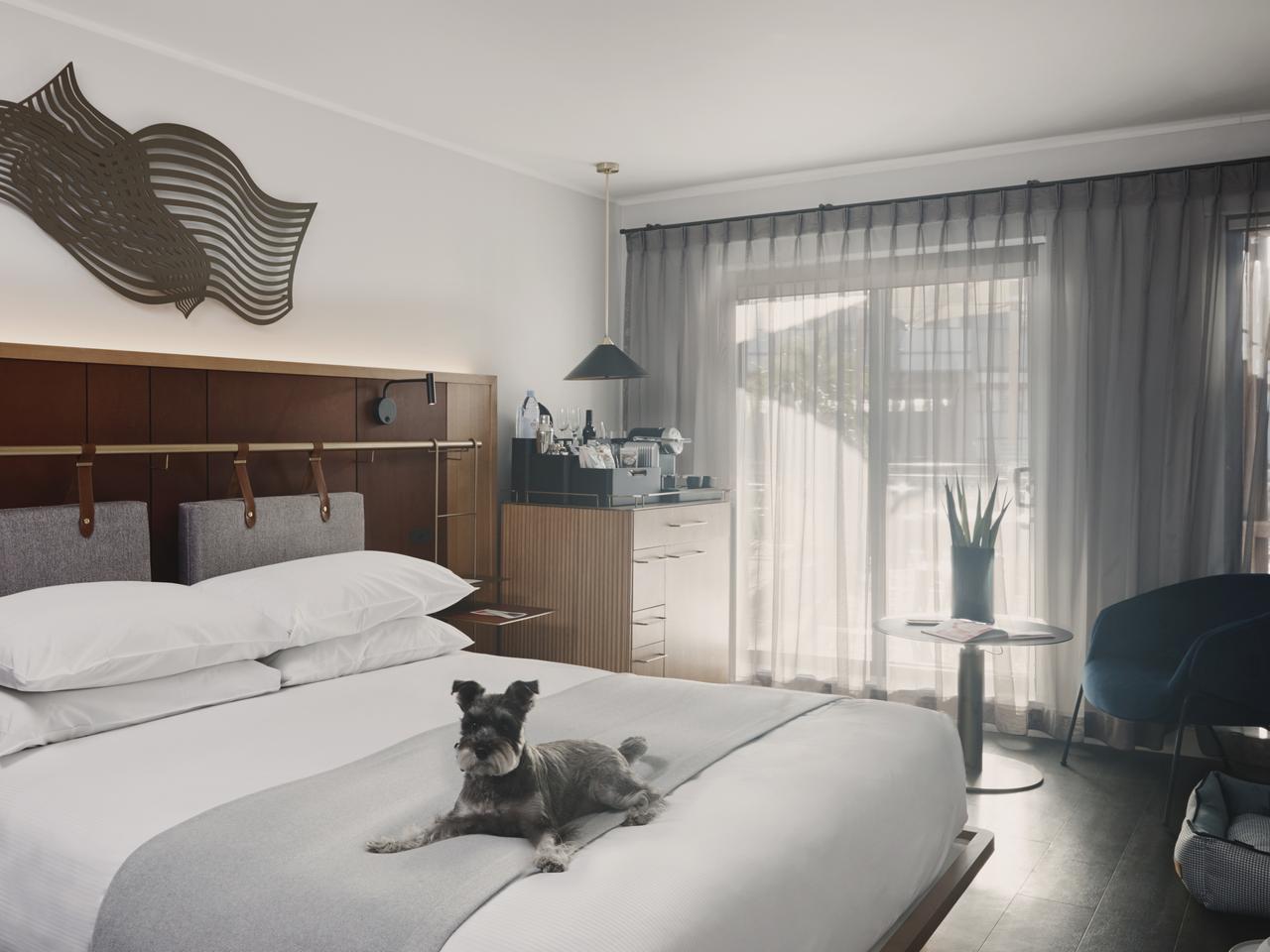 Luxury Pet-Friendly Hotels In Australia - View Retreats