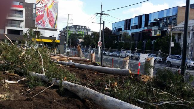 Neighbours are angry the trees have been cut down. Picture: Christine Olsen