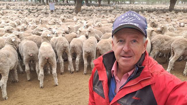 Merino wether lambs sold to dearer trends at the Deniliquin sheep sale. Pictured is Hay agent Peter Head, Elders, who paid to $50 and an average of $44 for 1300 shorn Merino wether lambs that are destined to be grown out as young wool cutters on a Riverina property which wants to simplify management.