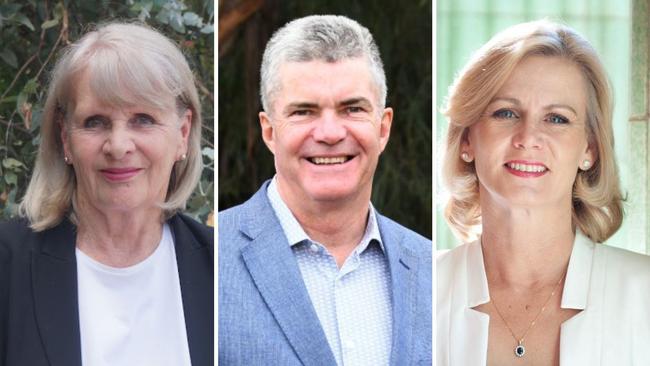 Meet the candidates vying for your vote this NSW state election. Picture: Supplied