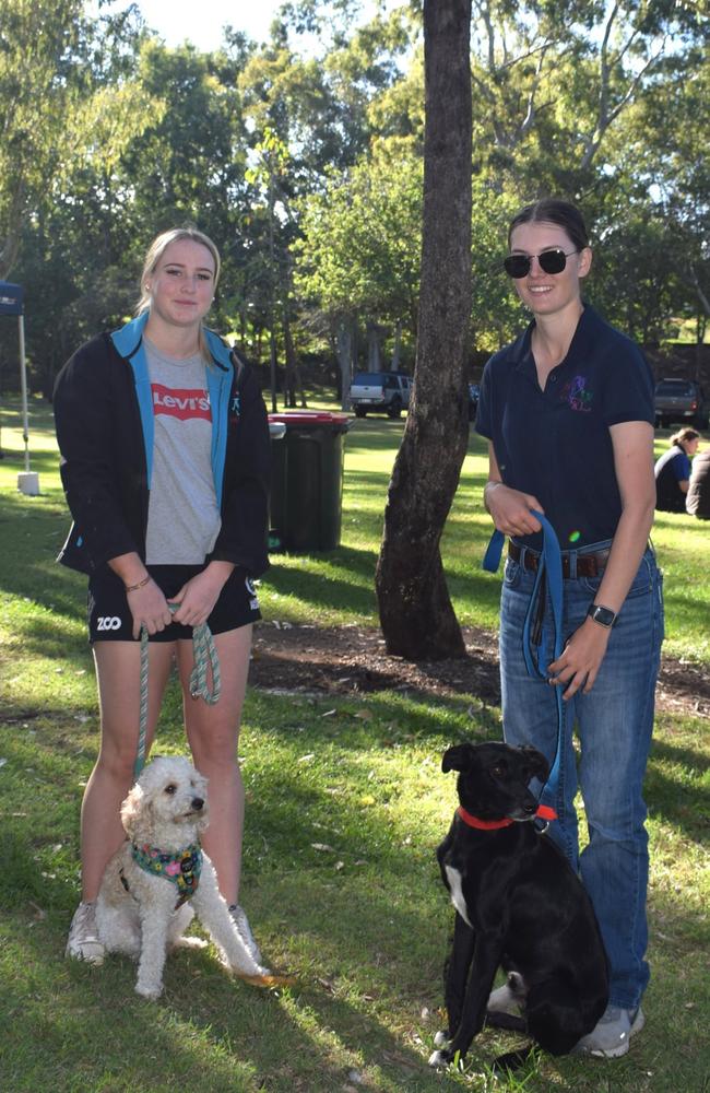 Photos Rspcas Million Paws Walk Rockhampton The Chronicle