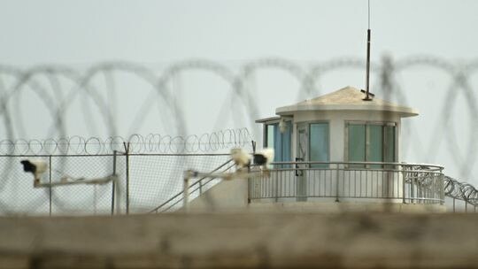 Chinese authorities have incarcerated Uighurs and other Turkic minority groups in indoctrination camps and prisons. Picture: Getty Images