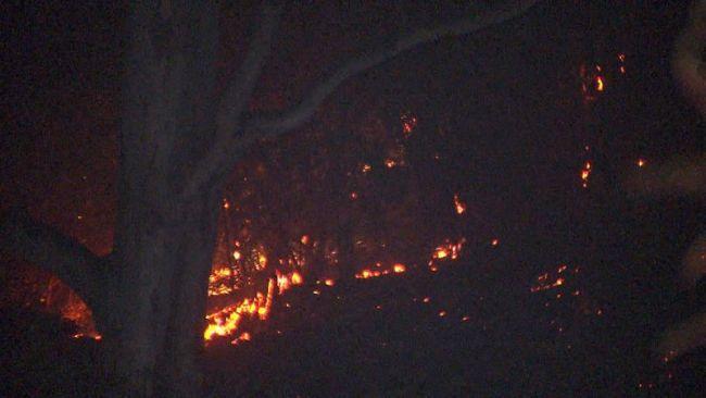 A fire burning in Montacute in the Adelaide Hills is still uncontained. Picture: 9News