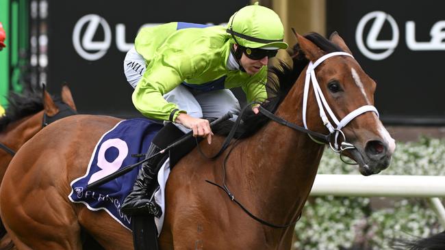 Stretan Angel will be ridden further back in Saturday’s $1m Goodwood in Adelaide. Picture: Getty Images.