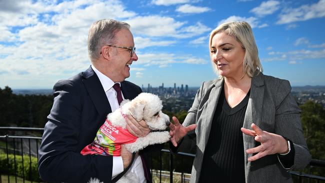 The Prime Minister, Anthony Albanese, with the candidate for the seat of Ryan Rebecca Hack and her dog Pickles. Picture: Dan Peled