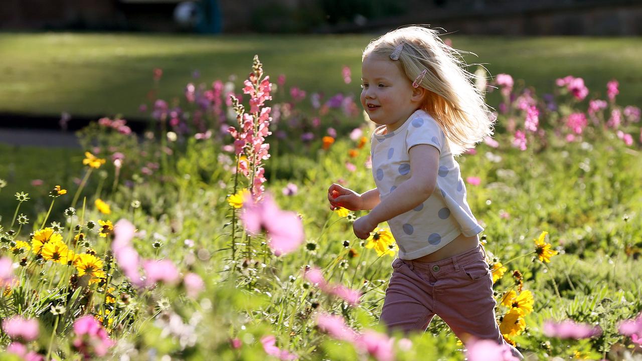 Hobart pollen at “extreme” levels after crashing hospital system ...