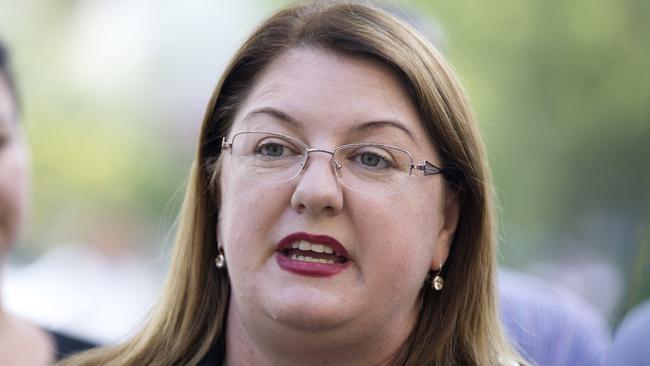 Natalie Hutchins, Minister for Prevention of Family Violence. Picture: Sarah Matray