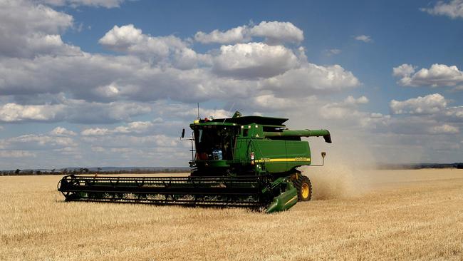 Chinese brewers favour Australian-grown grain. Picture: AFP