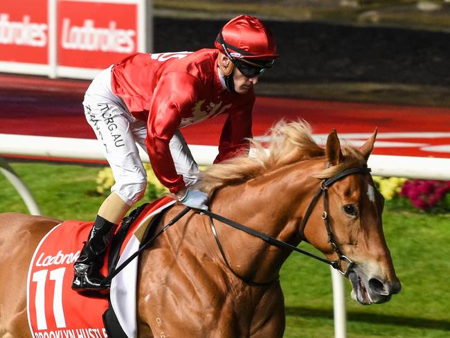 Brooklyn Hustle ridden by Mark Zahra on the way to the barriers prior to the running of the Ladbrokes Manikato Stakes at Moonee Valley Racecourse on October 23, 2020 in Moonee Ponds, Australia. (Brett Holburt/Racing Photos via Getty Images)