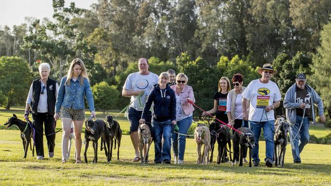 A hnadful of the owners who came together for the walk. Picture: Jerad Williams