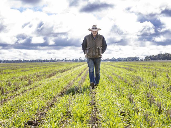 CROPS: Dusty Pascoe on farm at RaywoodPICTURED: Dusty Pascoe and his barley crop.Picture: Zoe Phillips