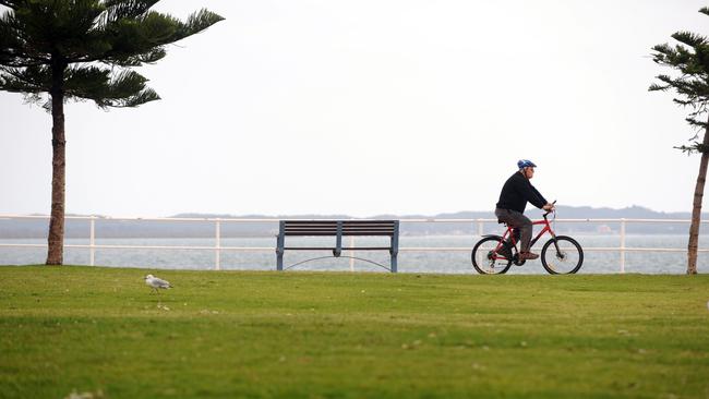 An international road survey has found support for a ban on cyclists using headphones.