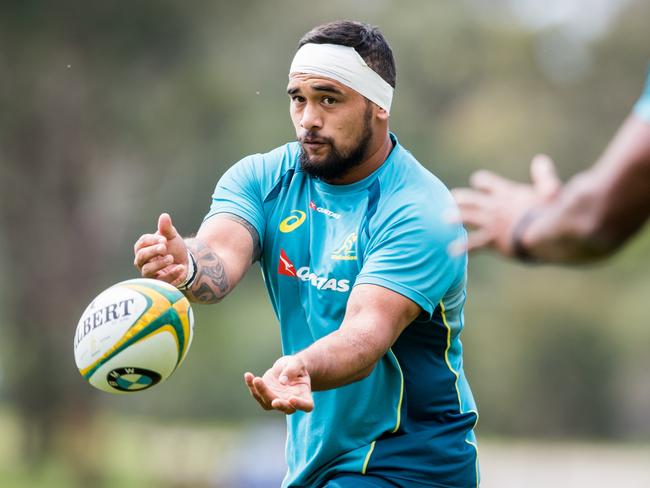 Pumas v Wallabies: Tetera Faulkner overjoyed at breaking three-year ...