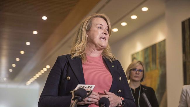 North Sydney independent MP Kylea Tink campaigned on a net zero platform, but holds shares in oil and gas. Picture: NCA NewsWire / Gary Ramage