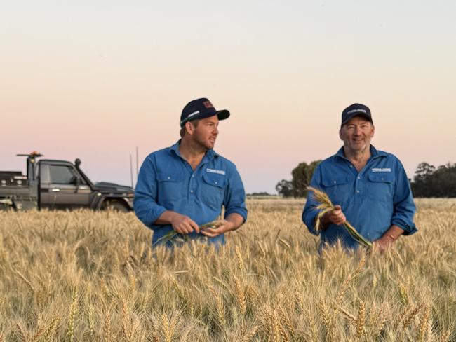 Coleambally farmers Joe Briggs and his father Greg pictured in a crop of wheat. Picture: Supplied