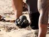 Update after gross find shut nine beaches