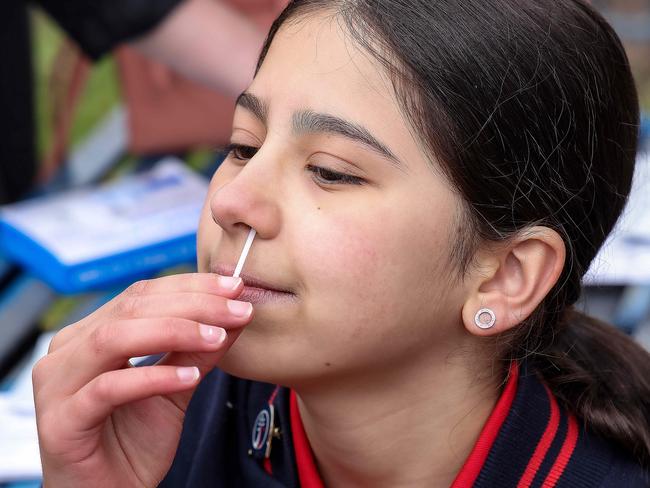 MELBOURNE, AUSTRALIA - NewsWire Photos 08 NOVEMBER 2021 :  Jells Park Primary School Captain Anastasia with a Rapid antigen test kit.The kits will now be available for Victorian students who are close contacts of a positive coronavirus case. Picture : NCA NewsWire / Ian Currie