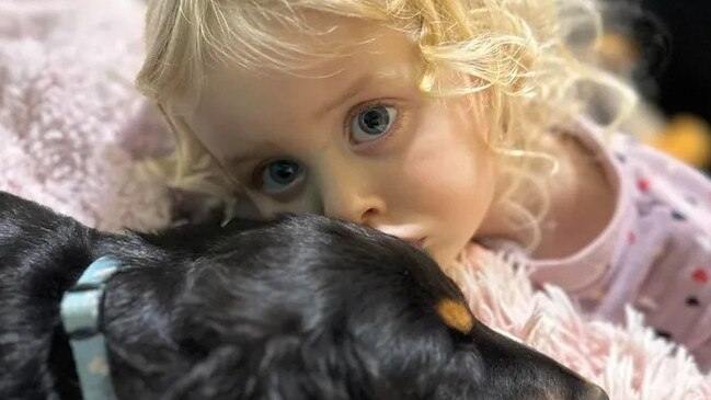 The family got Annabelle a puppy as an emotional support animal. Picture: Supplied/Brendan Horne