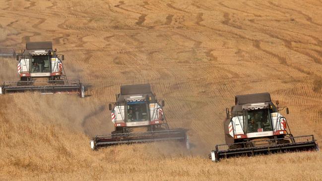 Combines harvesting wheat outside the village of Ogur. Russia, the world’s biggest wheat exporter, halted exports until July. Picture: Reuters