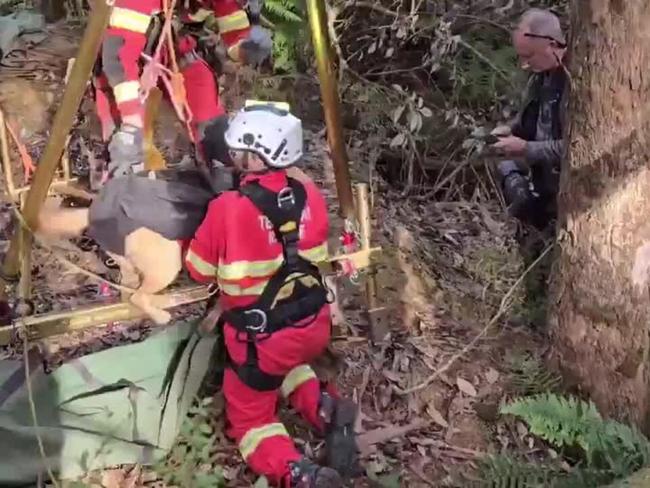 Labrador Hoisted from 8-Meter Mine Shaft Four Days After Vanishing