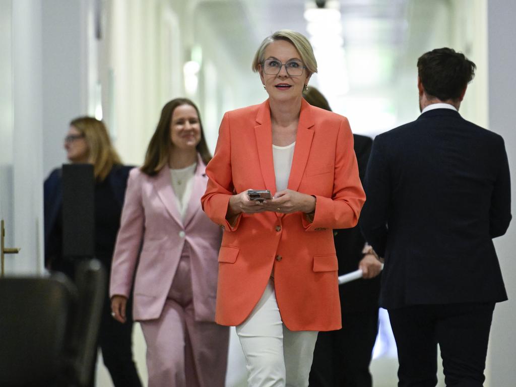 Ms Plibersek. Picture: NewsWire / Martin Ollman