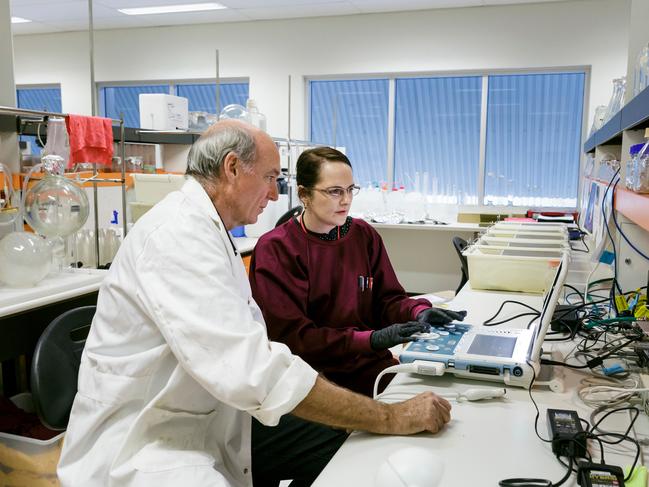 JCU’s Professor Geoff Dobson and Dr Hayley Letson at work in the lab. Picture credit: Andrew Rankin