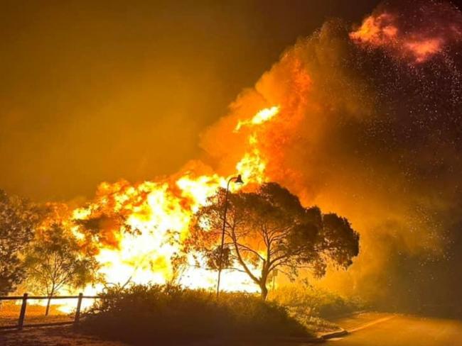 TOPSHOT - In this photo released by the Western Australia Department of Fire and Emergency Services (DFES) and received by AFP on November 23, 2023, shows flames of a bushfire burning north of the city of Perth. (Photo by Handout / WESTERN AUSTRALIA DEPARTMENT OF FIRE AND EMERGENCY SERVICES / AFP) / ----EDITORS NOTE ----RESTRICTED TO EDITORIAL USE MANDATORY CREDIT "AFP PHOTO / Western Australia Department of Fireâ - NO MARKETING NO ADVERTISING CAMPAIGNS - DISTRIBUTED AS A SERVICE TO CLIENTS