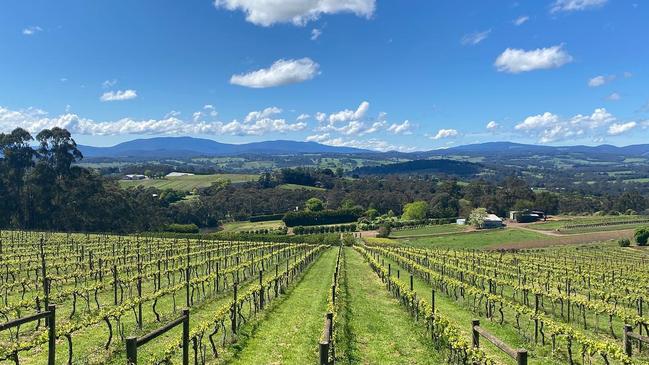 Elmswood Estate in the Yarra Valley. There’s no shortage of spectacular wineries to visit across the region and Mornington Peninsula.