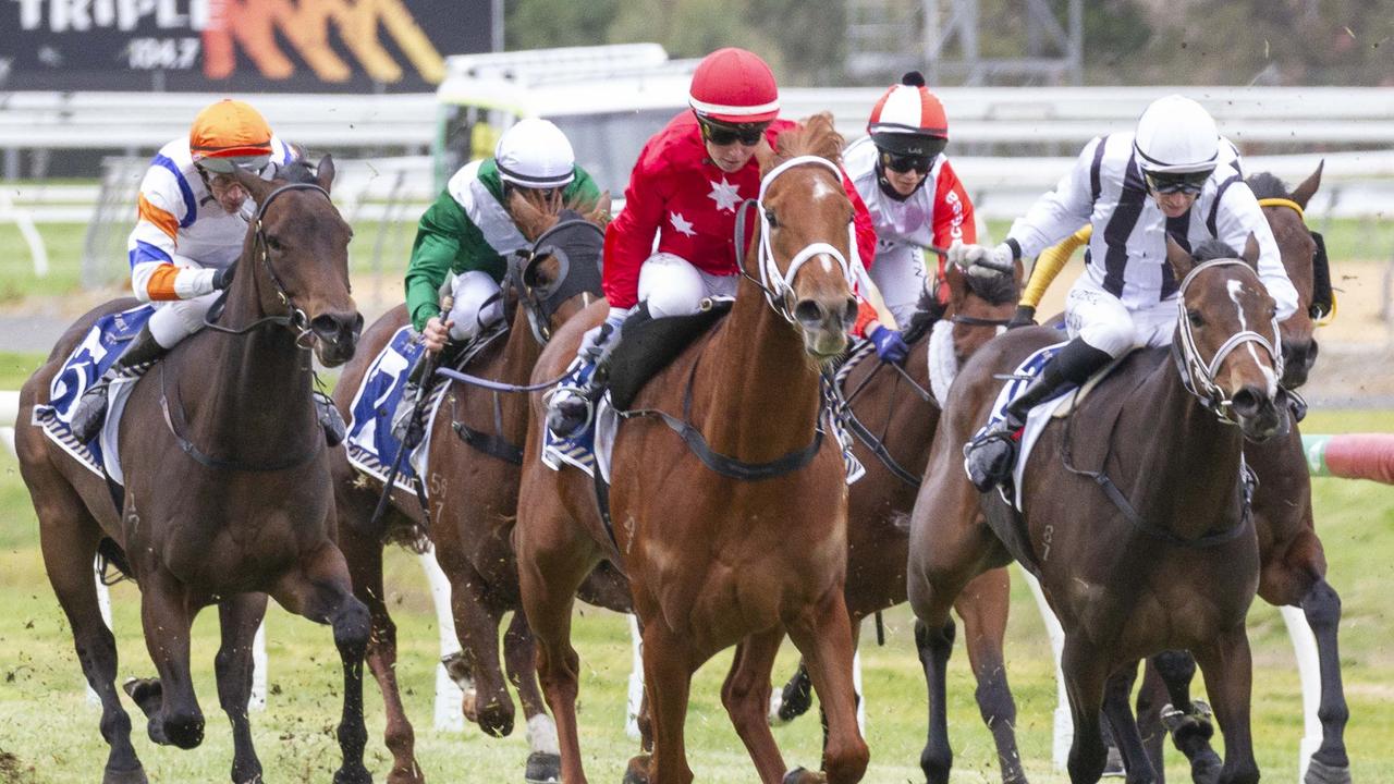 The Phillip Stokes-trained filly as been an instant celebrity.