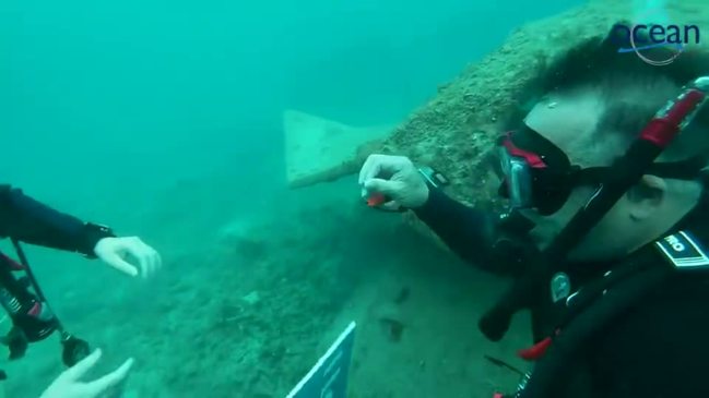 Love-struck man goes to great depths to propose