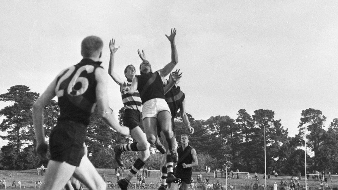 Former Geelong, North Melbourne player Graeme O'Donnell remembered | Geelong  Advertiser