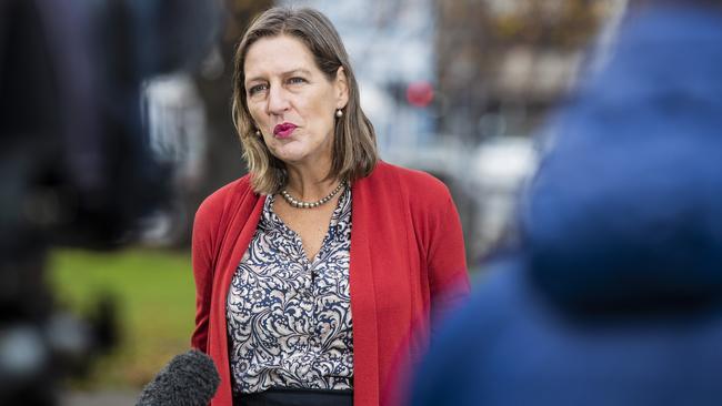 Leader of the Greens Cassy O'Connor, on parliament lawns. Picture: Richard Jupe