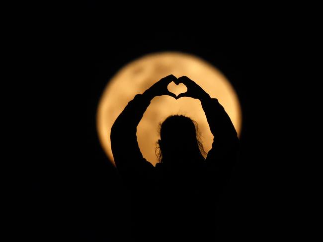 DAILY TELEGRAPH SEPTEMBER 18, 2024. Onlookers  pose for photos with the rising Harvest supermoon as seen from Flagstaff Hill in Wollongong. Picture: Jonathan Ng