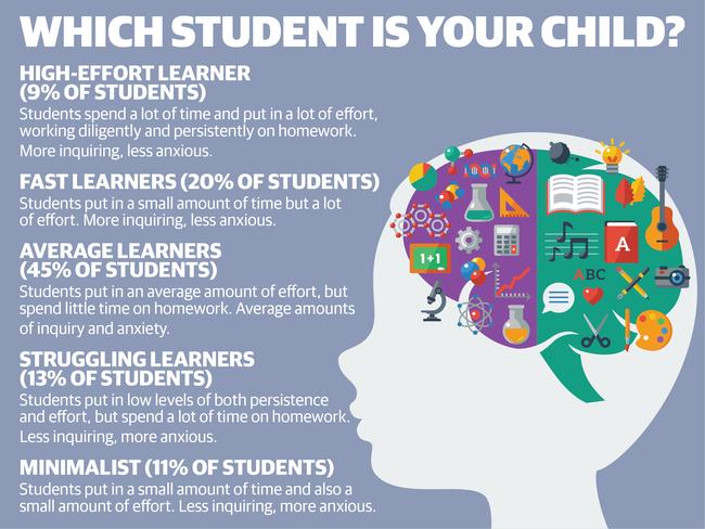 Children’s homework: Researchers say children fall into five categories ...