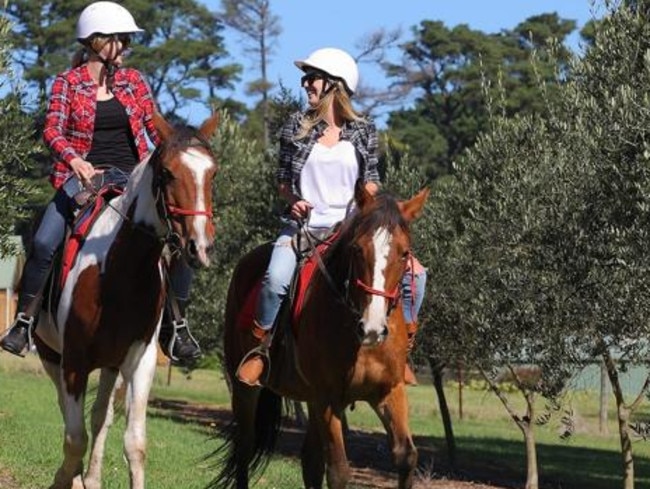 Wineary crawl on horseback? Why not.